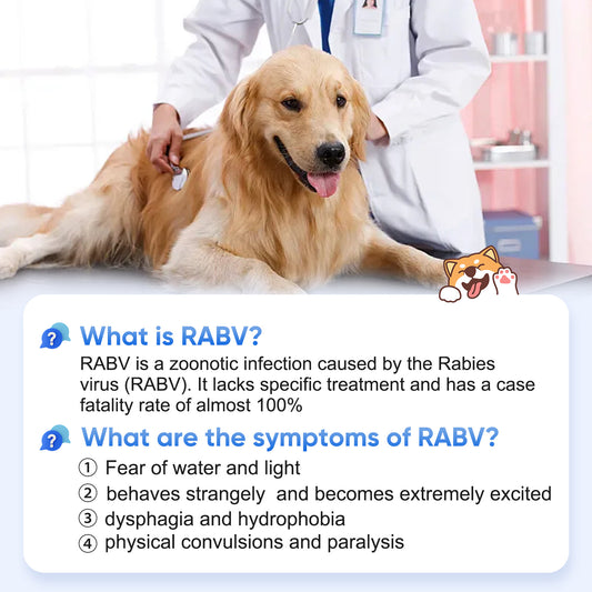 PawsXfun Pet Rabies Test Kit: 5-Minute Home Saliva Detection - Accurate Screening For All Animal Breeds & Ages