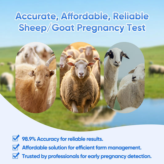 Commercial shepherds, goat farmers, cost-conscious producers