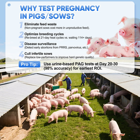 Commercial farmers, cost-conscious pig producers