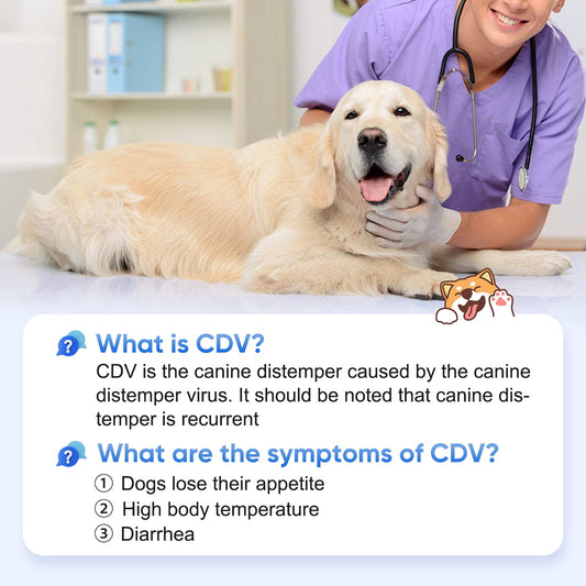 At-Home Testing Made Simple – No More Stressful Vet Trips for Routine Checks