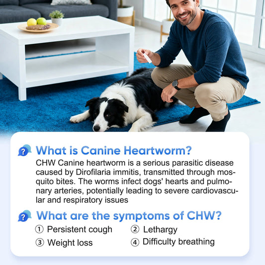 5 Minutes to Peace of Mind: Why Waiting for Heartworm Results Is a Thing of the Past