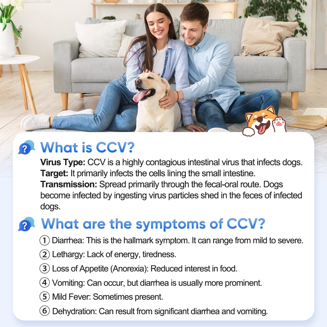 The Multi-Dog Household & Breeder Angle
