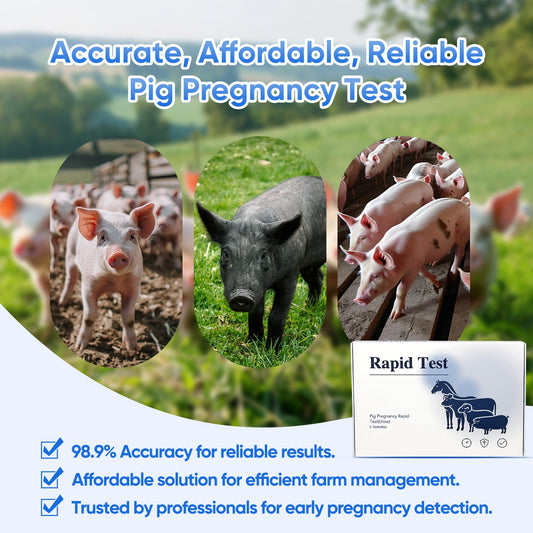Humane-focused farmers, outdoor/forestry pig operations