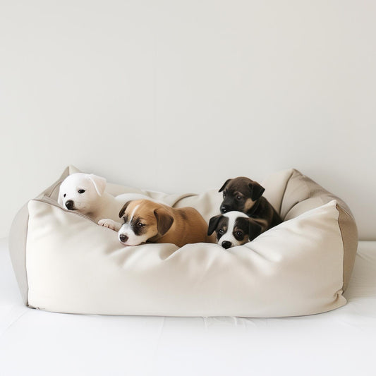 Early Detection Saves Lives: How the PawsXfun CPV Test Kit Can Protect Your Dog