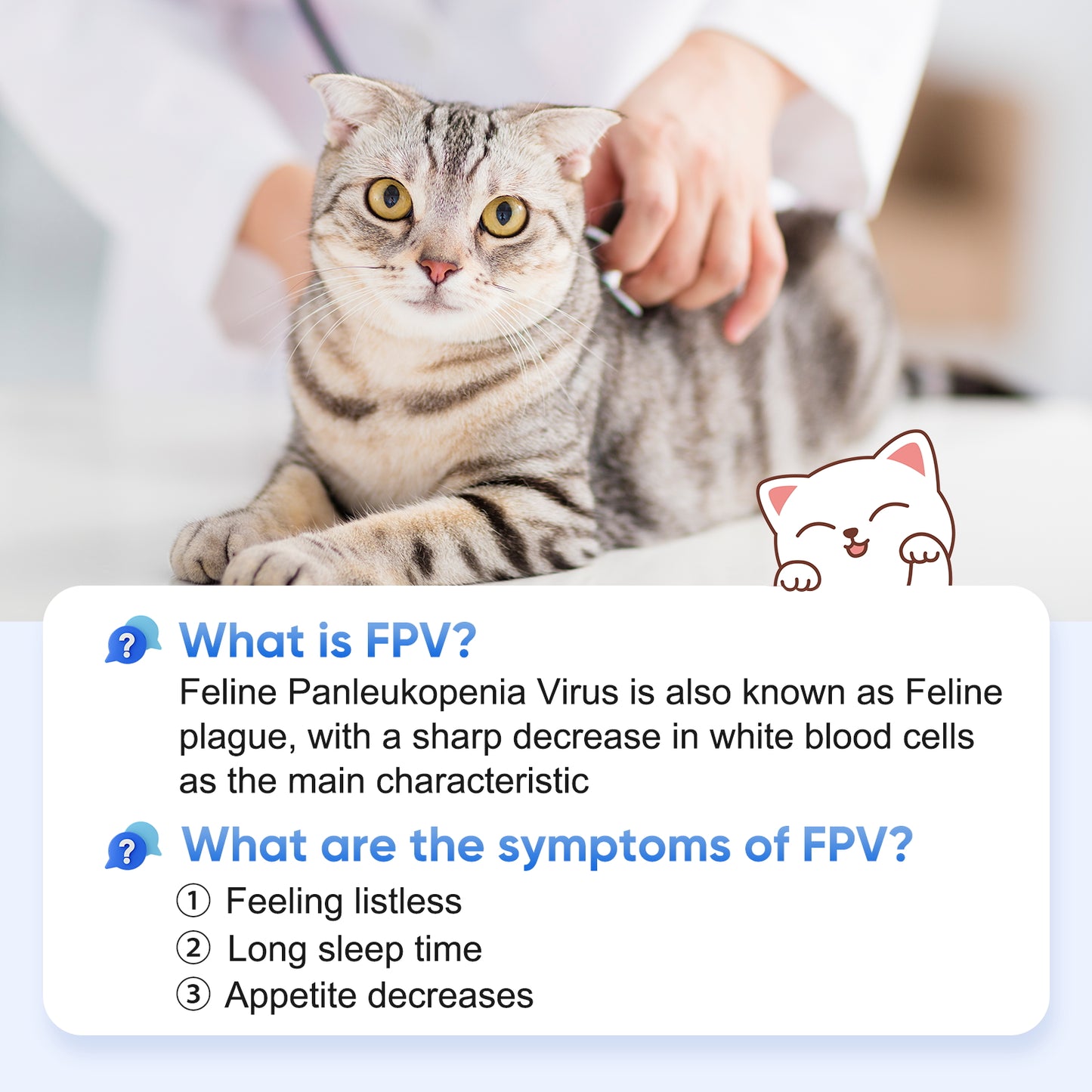 PawsXfun Feline Panleukopenia Virus Test Kit: Quick 5 Min Cat FPV Home Detection In Feces. Non-Invasive, Accurate For All Breeds & Ages