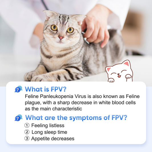 PawsXfun Feline Panleukopenia Virus Test Kit: Quick 5 Min Cat FPV Home Detection In Feces. Non-Invasive, Accurate For All Breeds & Ages