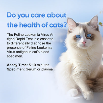 PawsXfun Feline Leukemia Virus Test Kit 5 Pieces : Quick 5-Min Home FELV Detection For Cats. Accurate, Non-Invasive, All Breeds/Ages