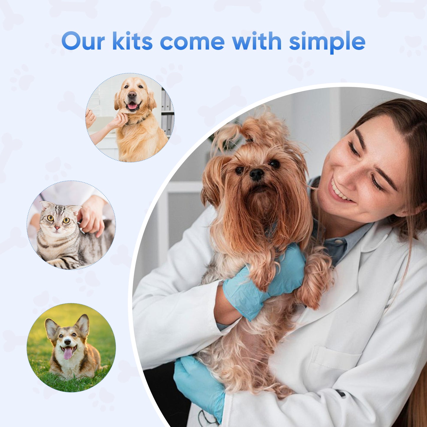 PawsXfun Giardia Test Kit: 5-Piece Home Detection For Dogs & Cats - Fast 5 Min Results From Feces/Vomit, Accurate For All Breeds & Ages