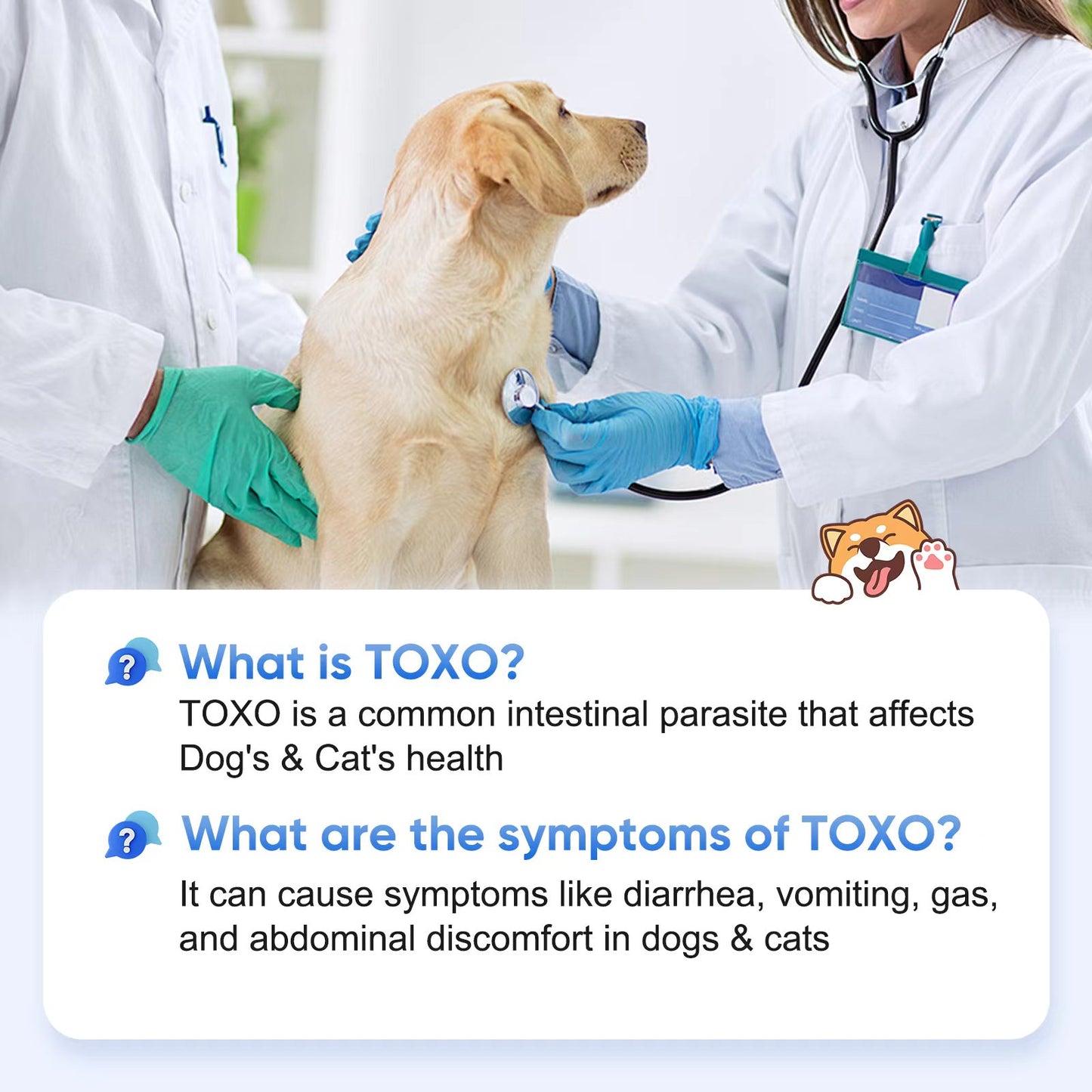 PawsXfun Toxoplasmosis Test Kit For Dogs & Cats: 5-Piece TOXO Home Detection In Feces With 5 Minute - Accurate & Non-Invasive For All Breeds & Ages